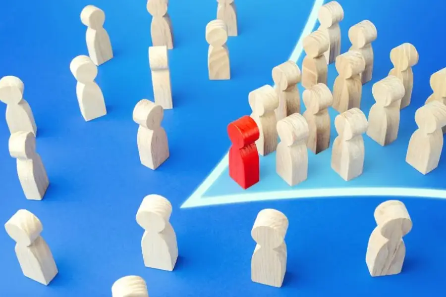 Niche Targeting Niche Targeting